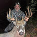 2023 Trophy Whitetail