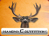 Diamond C Outfitters